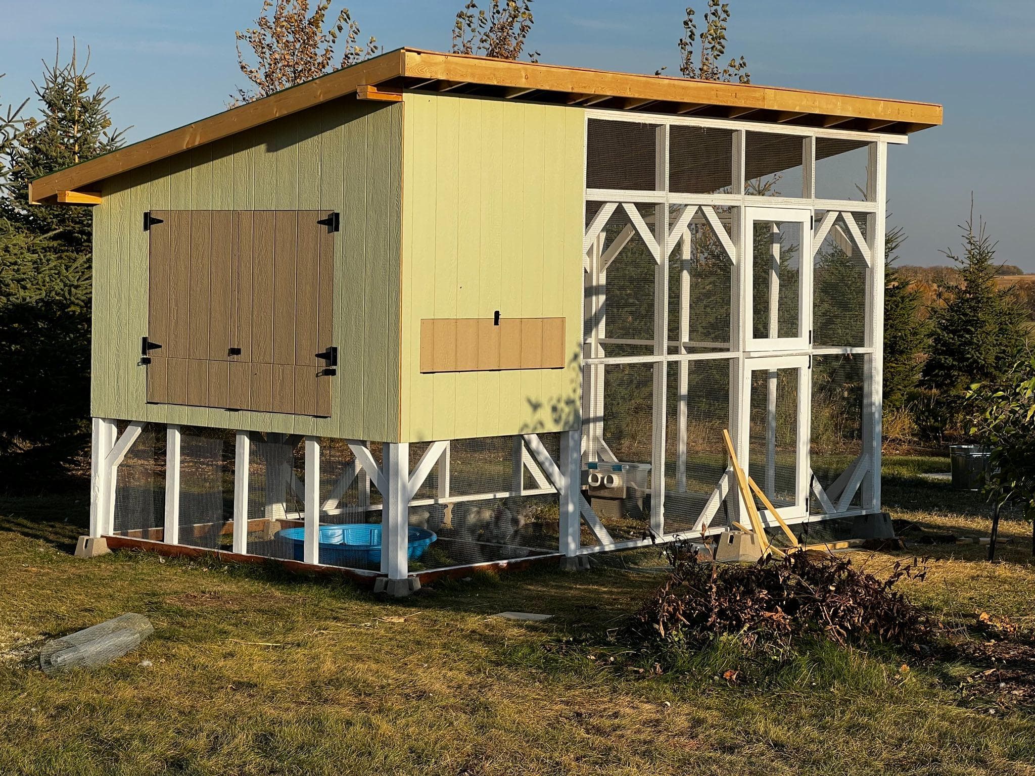 Work in progress, coop doors on, plywood roof is on