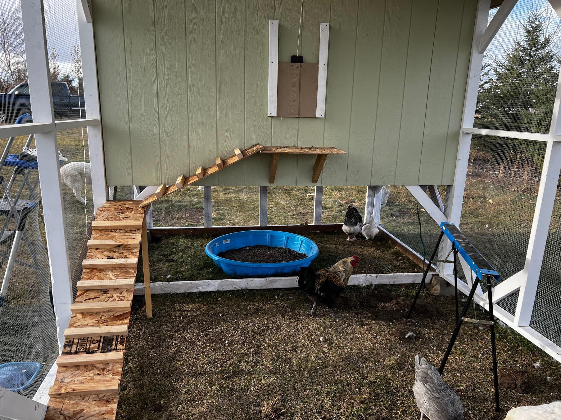 Chicken ramp and chicken door