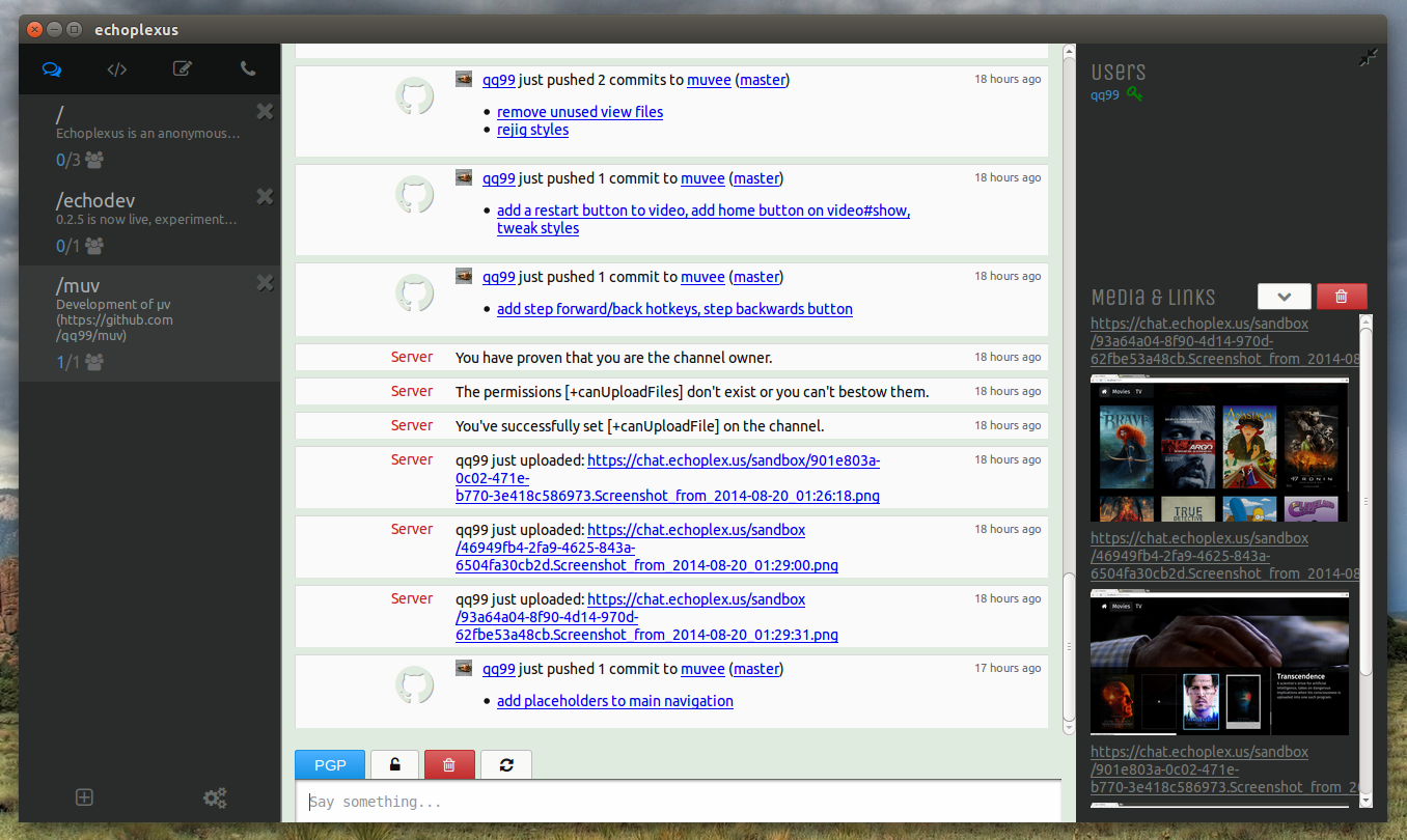 Screenshot of echoplexus chat window
