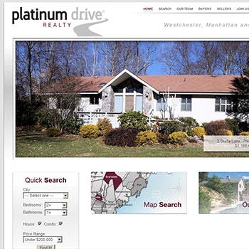 Small tile showing visual web design of Platinum Drive