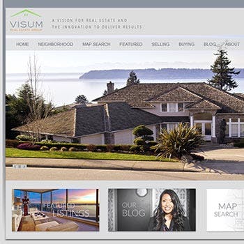 Small tile showing visual web design of Visum